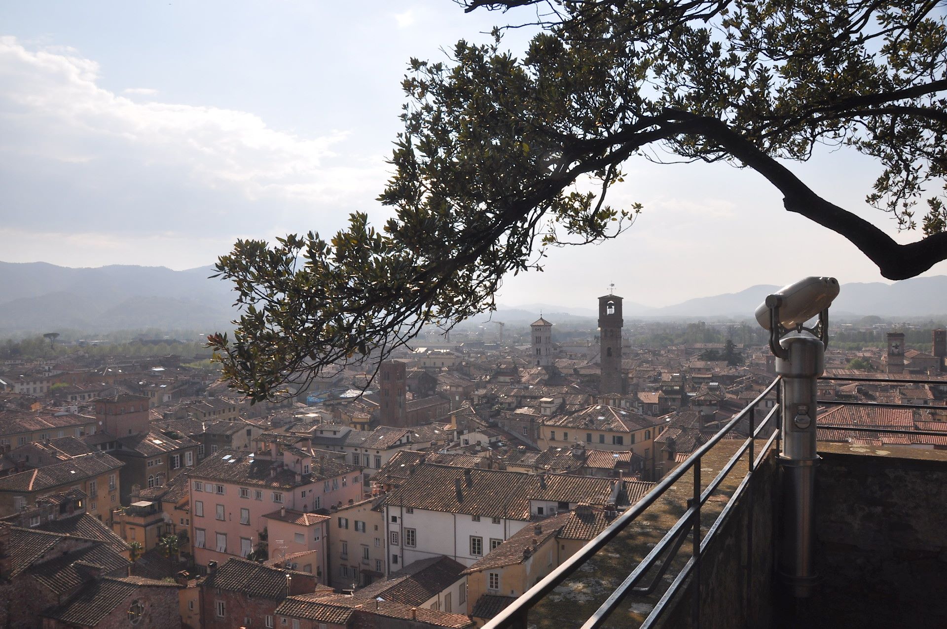 Lucca, Torre Guinigi